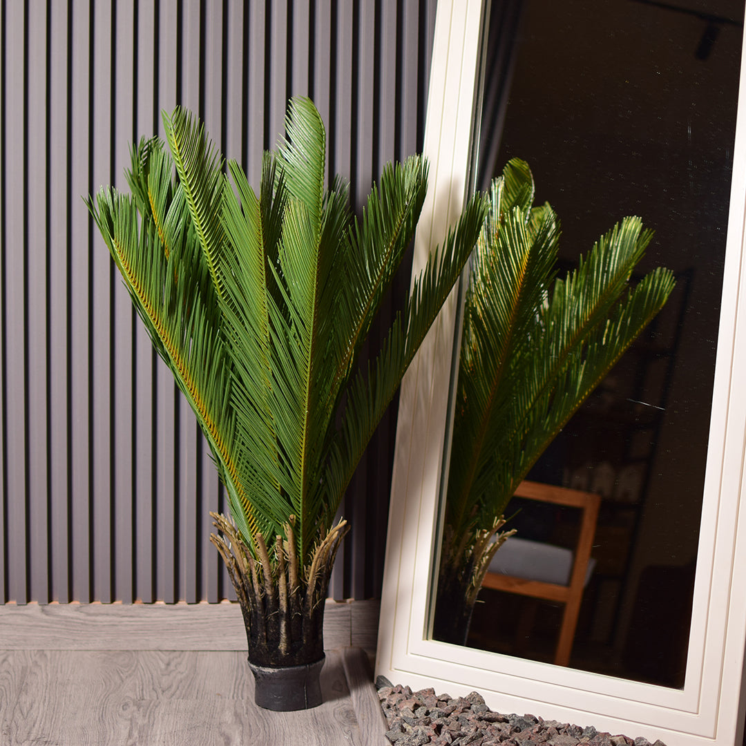 Sago Palm Plant