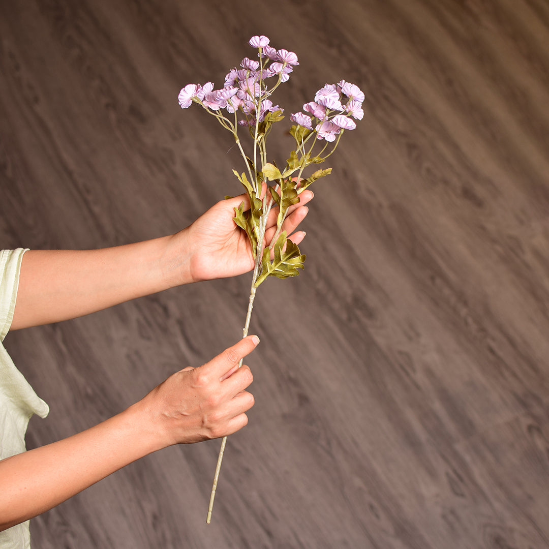 Lavender Gypsophila or small Cosmos-like blooms stem