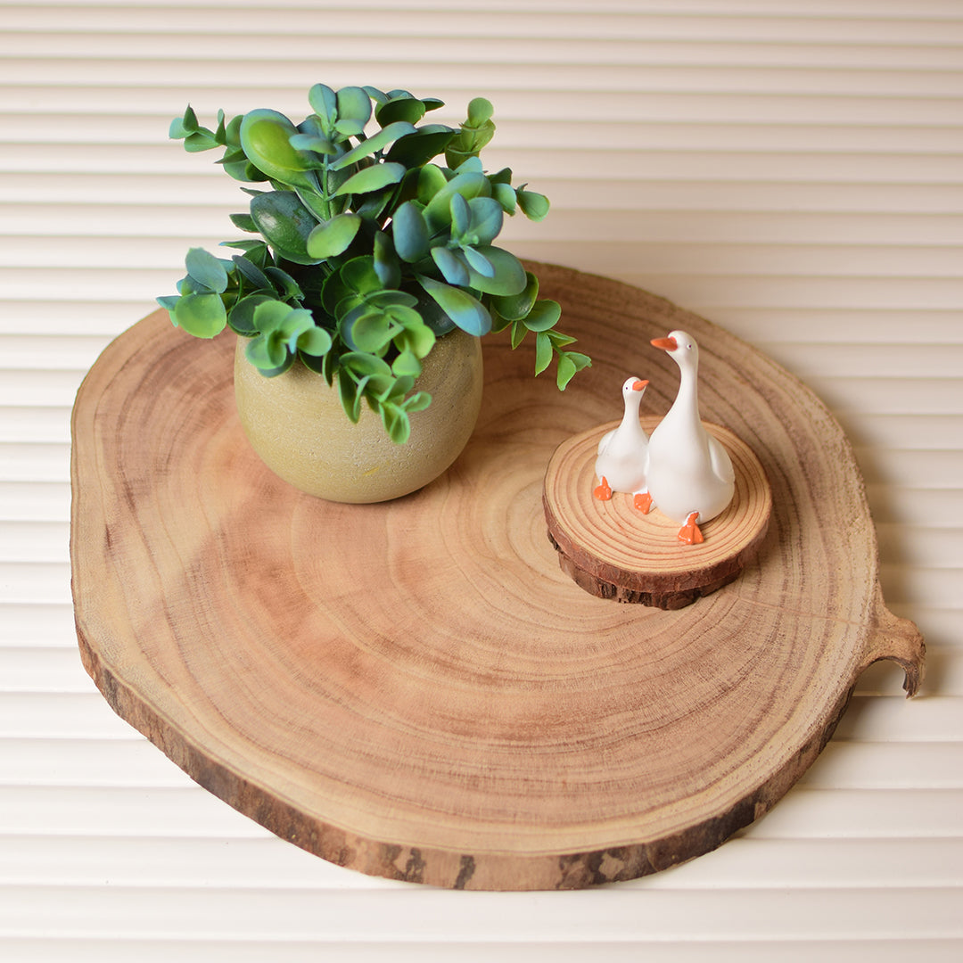 Wooden log Tray