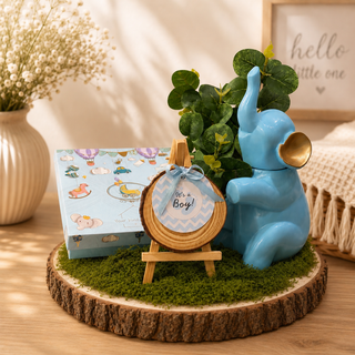 Hello Little One Hamper