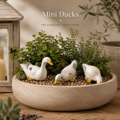 Duck Family — Set of 3