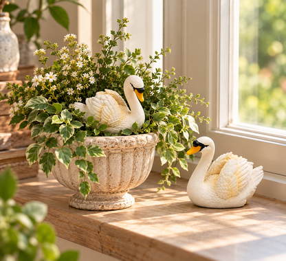 Elegant Swan Pair