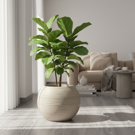 Botanical Bowl