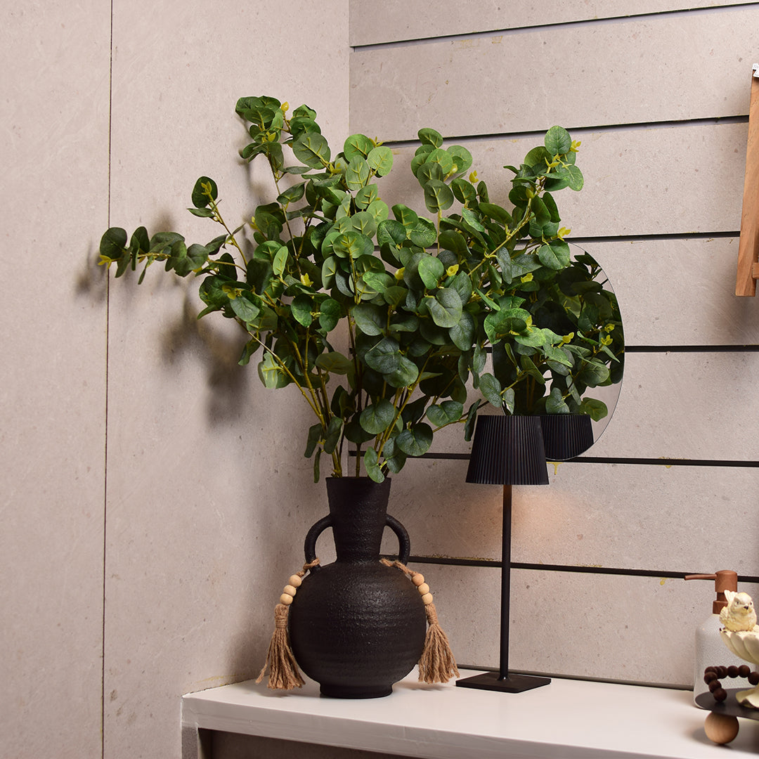 Eucalyptus Plant Stem