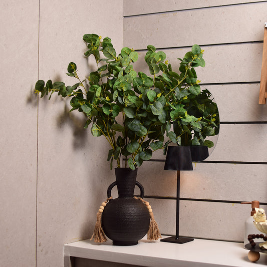 Eucalyptus Plant Stem