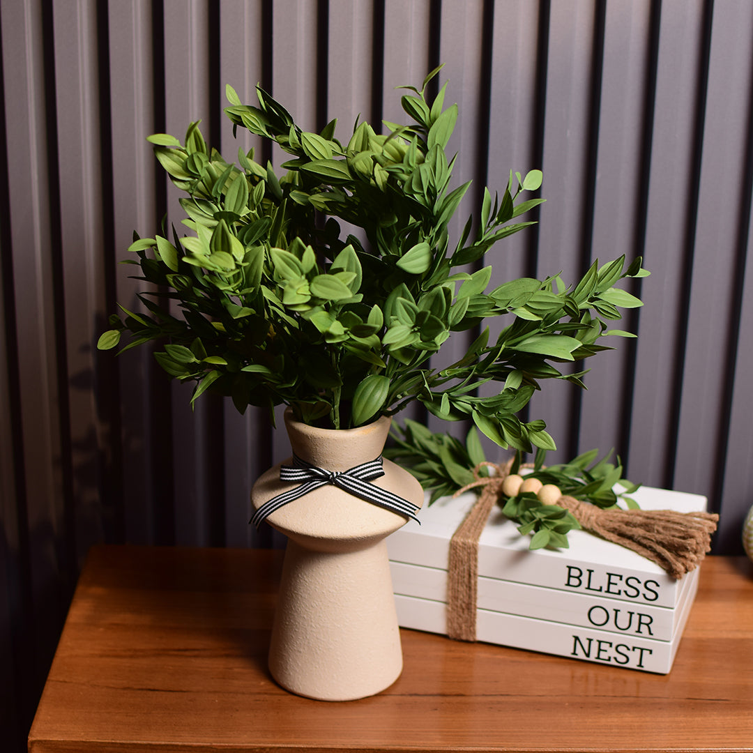 Boxwood Plants Stem