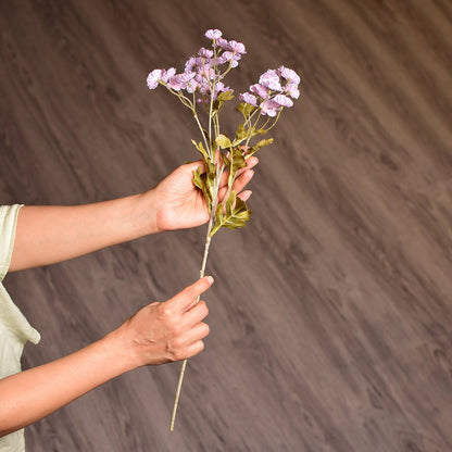 Lavender Gypsophila or small Cosmos-like blooms stem