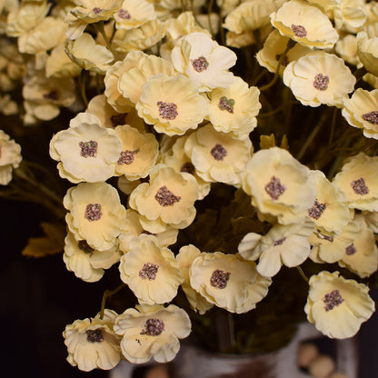 Yellow Gypsophila or small Cosmos-like blooms
