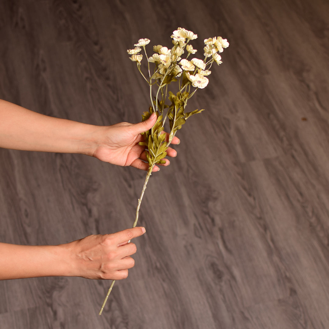 Yellow Gypsophila or small Cosmos-like blooms