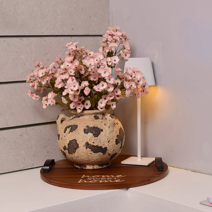 Cherry blossoms (Sakura) Plants