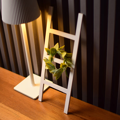 Mini Ladder with bunny set of 4/ ladder with hoop