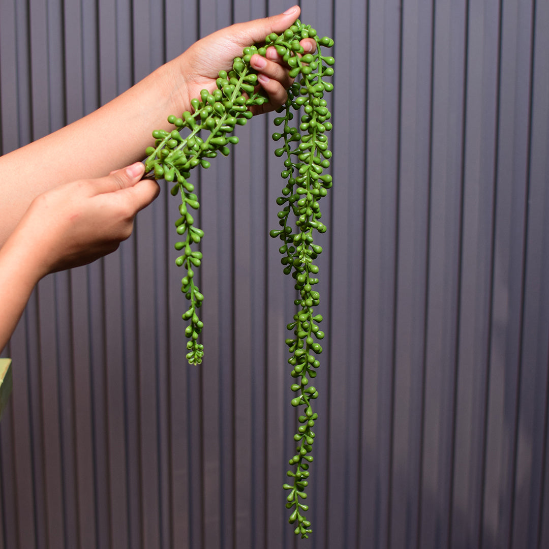 String of pearls (set of 2)