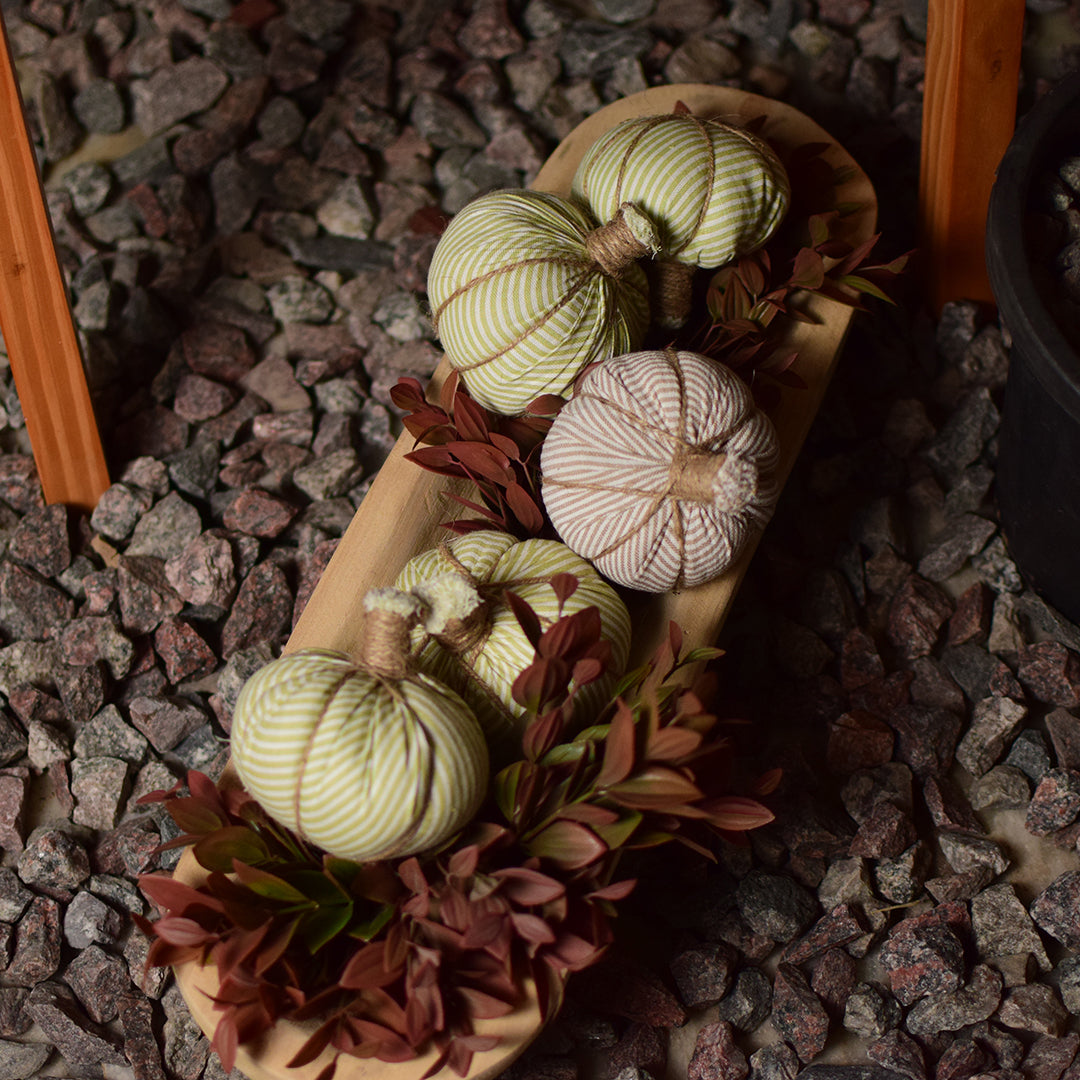 Mini pumpkin patch of 3